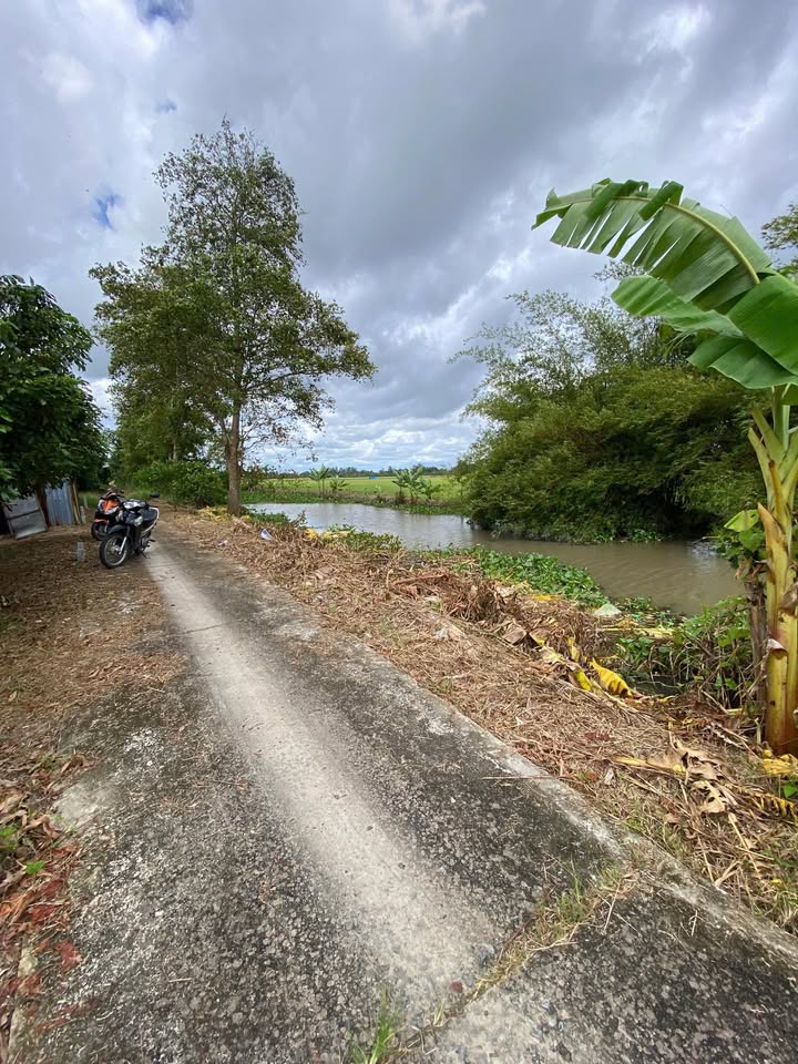 Đất nền 805m² tại Huyện Vĩnh Thạnh, Cần Thơ giá chỉ 300 triệu - Sổ hồng chính chủ!