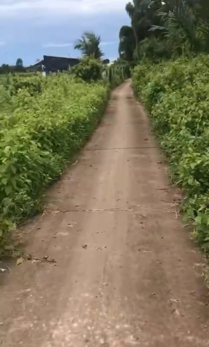 Đất nền 5300m² mặt tiền lộ ĐAL 3m tại Ấp Trà Vôn A - Giá chỉ 360 triệu!