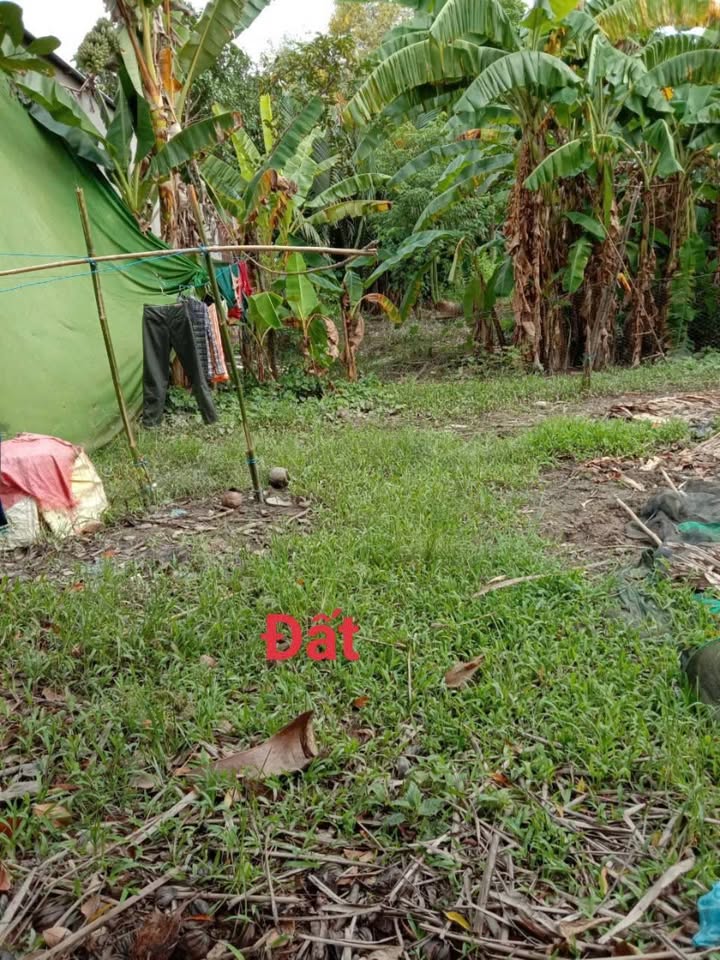 Đất thổ cư Nhơn Nghĩa, Phong Điền 200m² giá 520 triệu - Cơ hội đầu tư tốt!