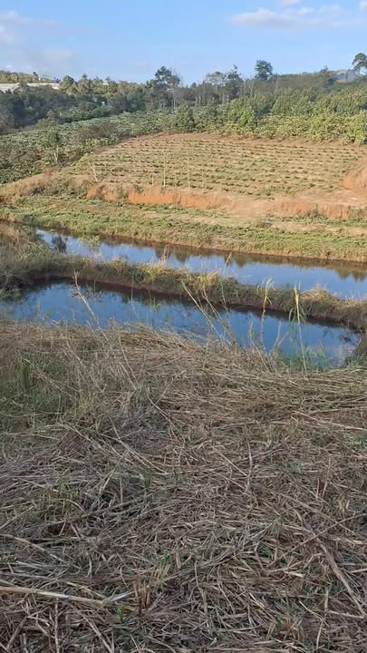 Đất nền 3402m² tại xã Đắk Nia, Gia Nghĩa - Giá chỉ 300 triệu!