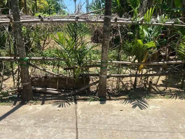 Đất nền 125m² Khối phố Phong Nhị - Giá 800 triệu - Đầu tư sinh lời ngay!