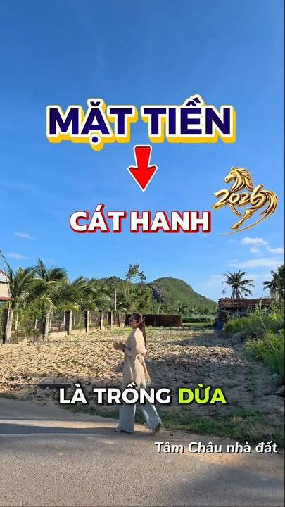 Đất nền thổ cư đường DT Cát Hanh, Huyện Phù Cát 125m² giá chỉ 495 triệu - Đầu tư sinh lời ngay!