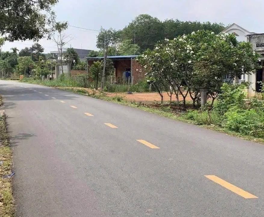 Đất thổ cư mặt tiền đường DH507, Củ Chi 250m² - Giá thỏa thuận cực tốt!