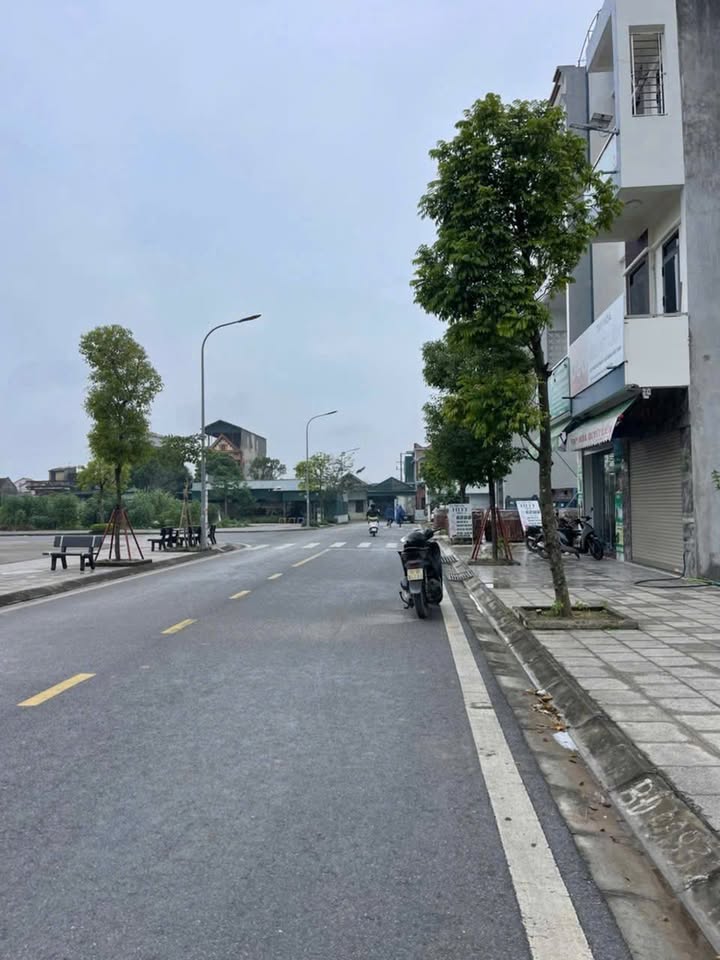 Đất nền liền kề Chợ Phú Lộc, Cẩm Giàng, 81m² giá 3 tỷ - Vị trí đẹp, kinh doanh thuận lợi!