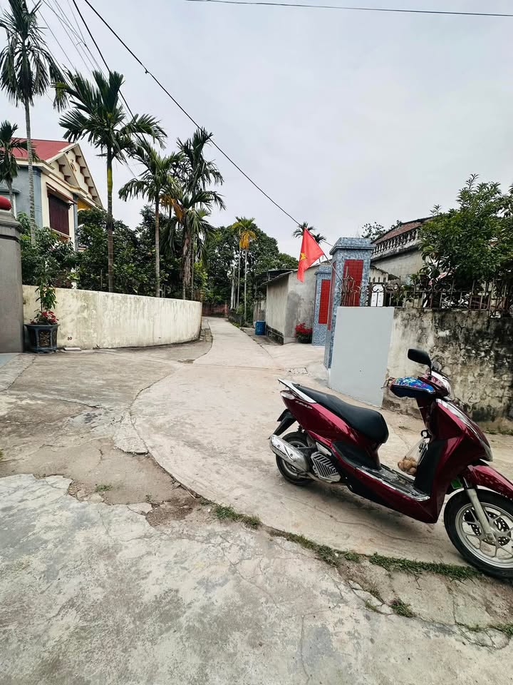 Đất thổ cư Xã Hồng Lạc, Huyện Thanh Hà 539m² giá 2 tỷ - Cơ hội vàng cho đầu tư!