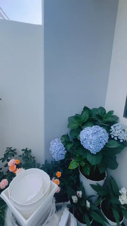 Nhà Gốc 2 Mặt Tiền Phường Mỹ Phú Đồng Tháp 68m² giá 1,499 tỷ - Nhà mới xây, thiết kế hiện đại!