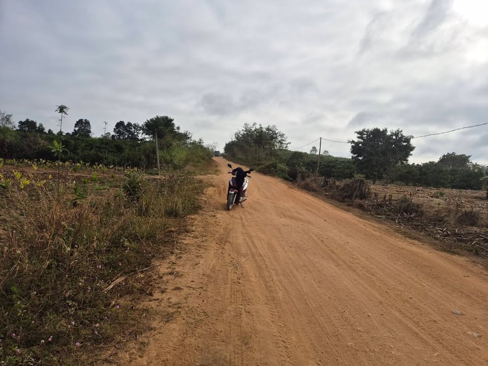 Đất nông nghiệp thôn 6, xã Ea Sar 20.000m² giá 2.6 tỷ - Đầu tư sinh lời!