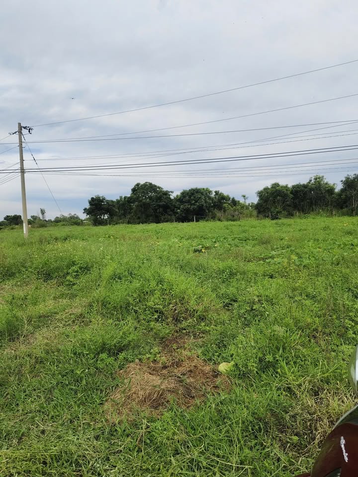 Đất nông nghiệp 3000m² tại Hồng Sơn, Bình Thuận chỉ 400 triệu - Cơ hội đầu tư hấp dẫn!