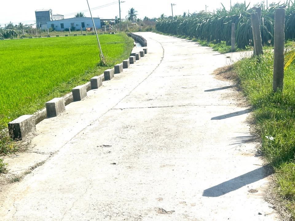 Đất thổ cư xã Bình An, huyện Bắc Bình 100m² giá 520 triệu - Cơ hội đầu tư tuyệt vời!