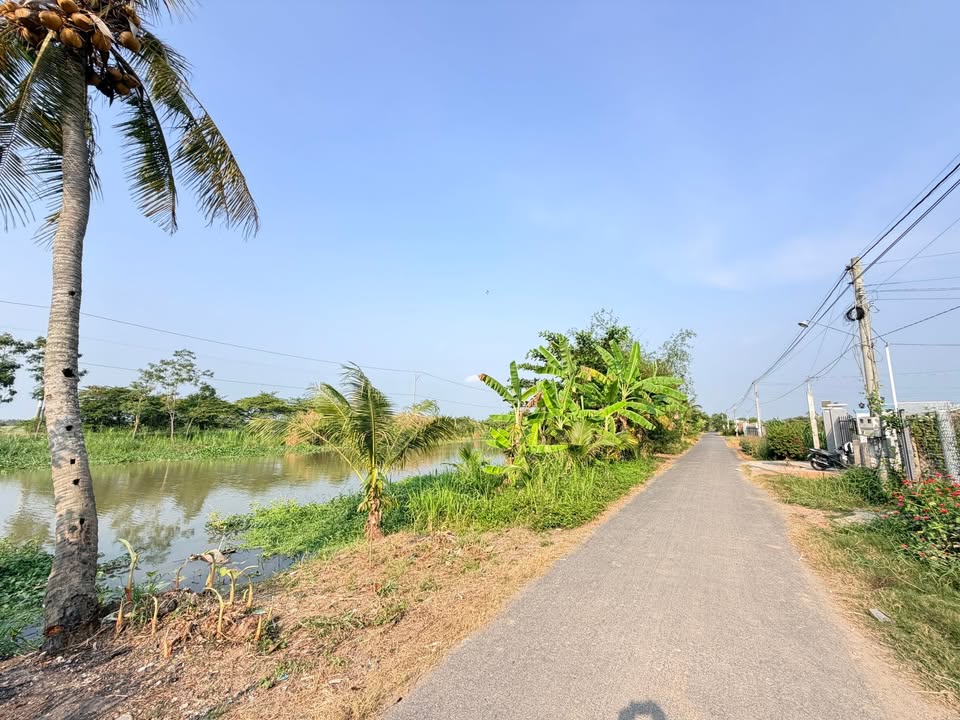 Nhà vườn 356m² mặt tiền kênh 14, giá 1.99 tỷ - Cơ hội đầu tư tuyệt vời!