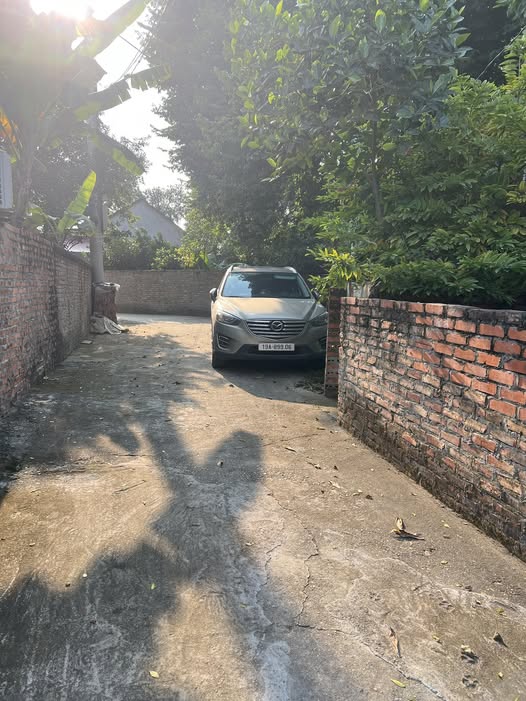 Đất nền chính chủ Dữu Lâu 206.4m² giá 3 tỷ - Cơ hội đầu tư hiếm có!