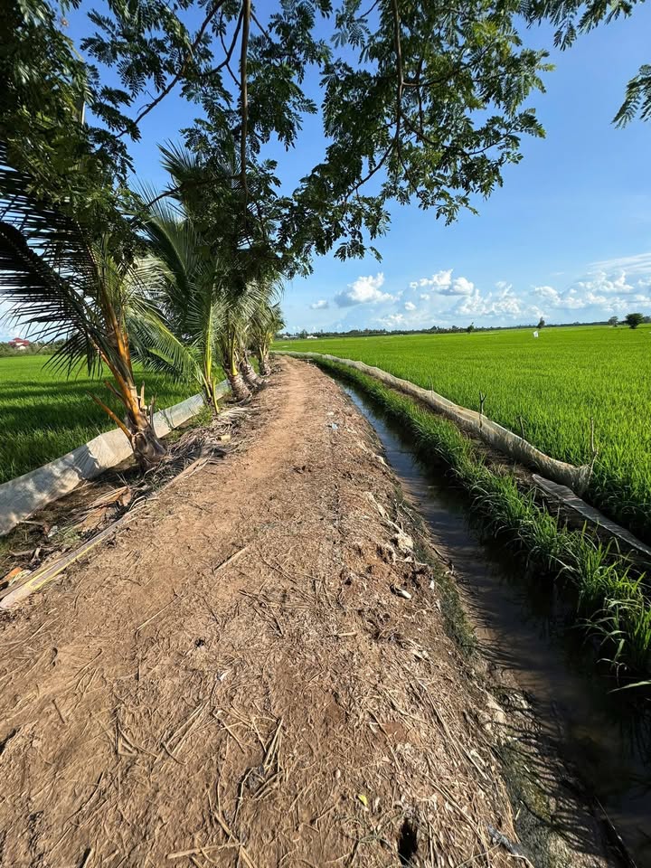 Đất nền 34,000m² tại phường Long Phú, Tân Châu, An Giang - Cơ hội đầu tư lý tưởng!