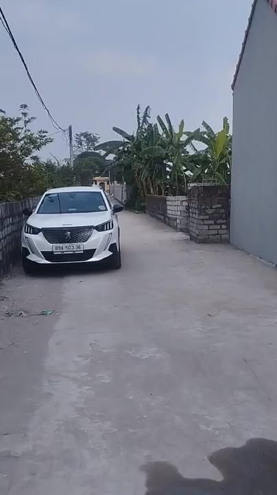 Đất nền tại Xã Đặng Lễ, Huyện Ân Thi - Diện tích 110m² - Nhà cấp 4 mới xây ngay khu công nghiệp