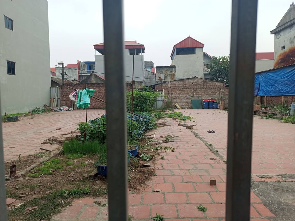 Đất thổ cư Xã Thụy Lâm, Đông Anh, 230m² giá 13 tỷ - Cơ hội đầu tư hiếm có!