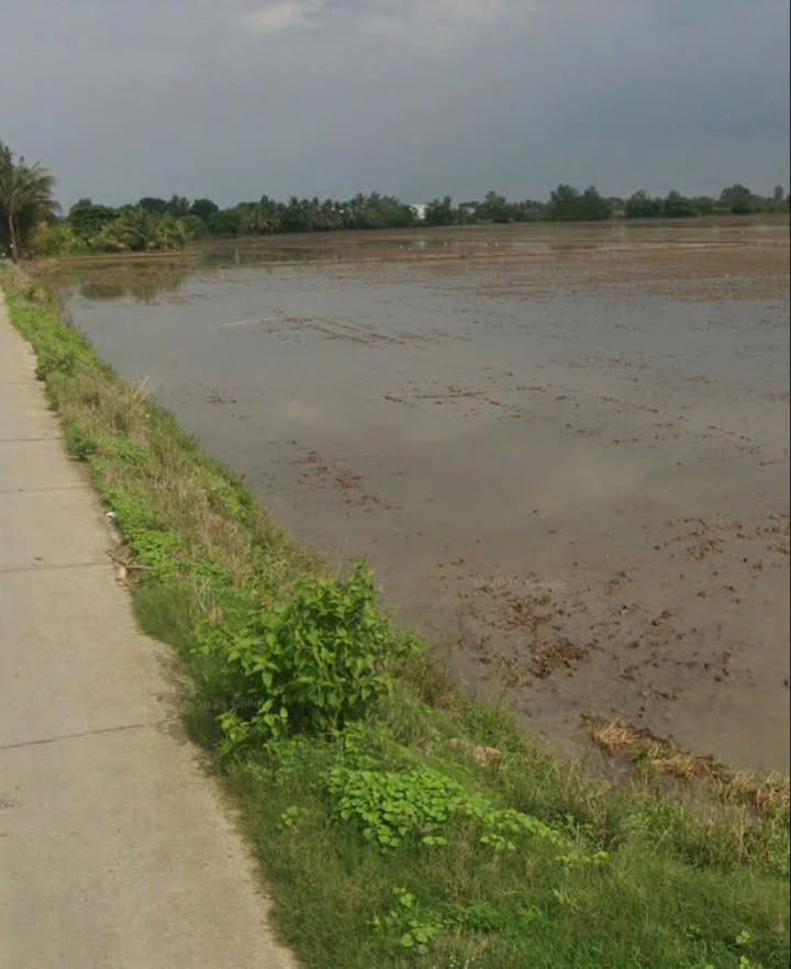 Đất nông nghiệp 4500m² mặt tiền lộ đal ô tô tại Phú Tân, Châu Thành - Giá chỉ 1,1 tỷ