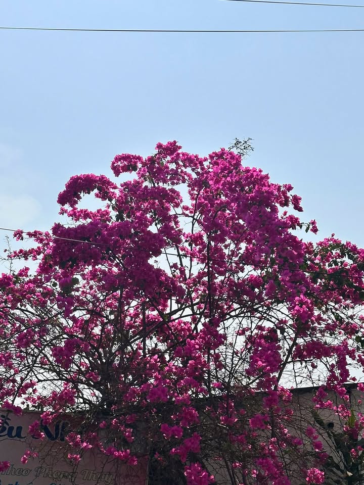 Nhà bán gấp tại Bửu Hoà, Biên Hoà - 50m² chỉ 2.2 tỷ - Sổ riêng thổ cư