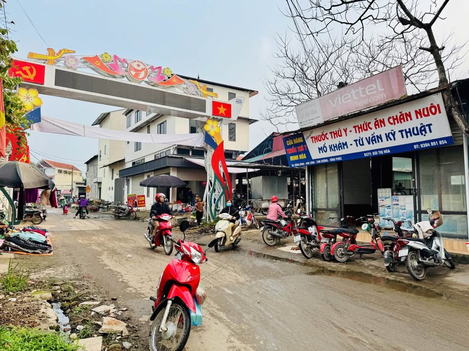 Lô Đất KINH DOANH 100m² tại Chợ Số 8 - Kim Long, Tam Dương chỉ 1.7 tỷ - Đầu tư sinh lời ngay!