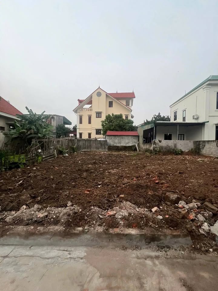 Đất nền Gia Tân Hải Dương 60,3m² giá 990 triệu - Gần trường học, chợ tiện lợi!