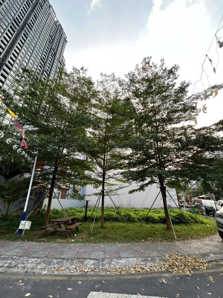 Đất nền Thảo Điền 150m² giá thỏa thuận - Lô góc 2 mặt tiền đắc địa!