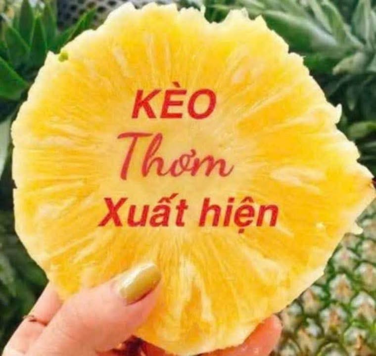 Shophouse Casa Duy Hải, Hoài Đức, 81m² - Cơ hội đầu tư tuyệt vời!