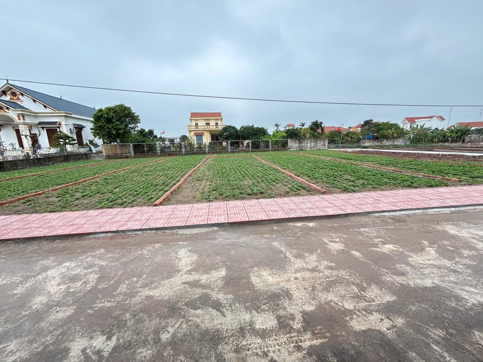 Đất nền Giao Yến 89m² giá 1.7 tỷ - Đầu tư sinh lời ngay sát biển!