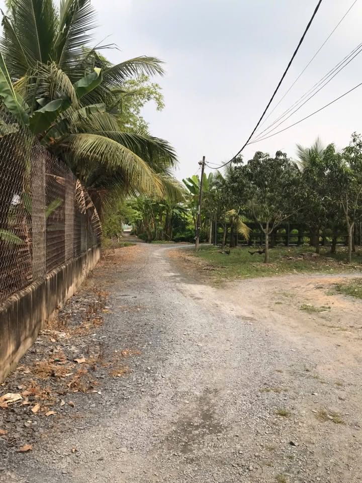 Nhà vườn cấp 4 tại Tân Quý, Bình Chánh 200m² giá chỉ 4 triệu/tháng - Sẵn sàng cho thuê!