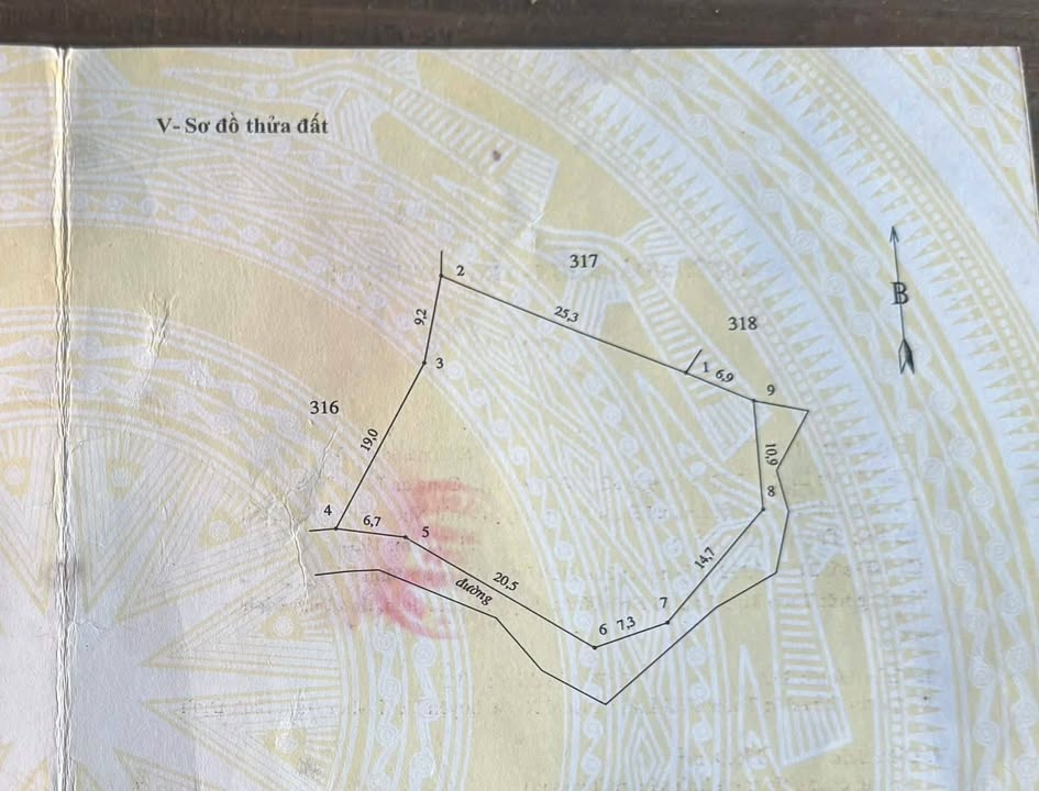 Đất trồng cây 1000m² tại Khu phố Thái Lai - Hoài Xuân, giá thỏa thuận - Cơ hội đầu tư tuyệt vời!