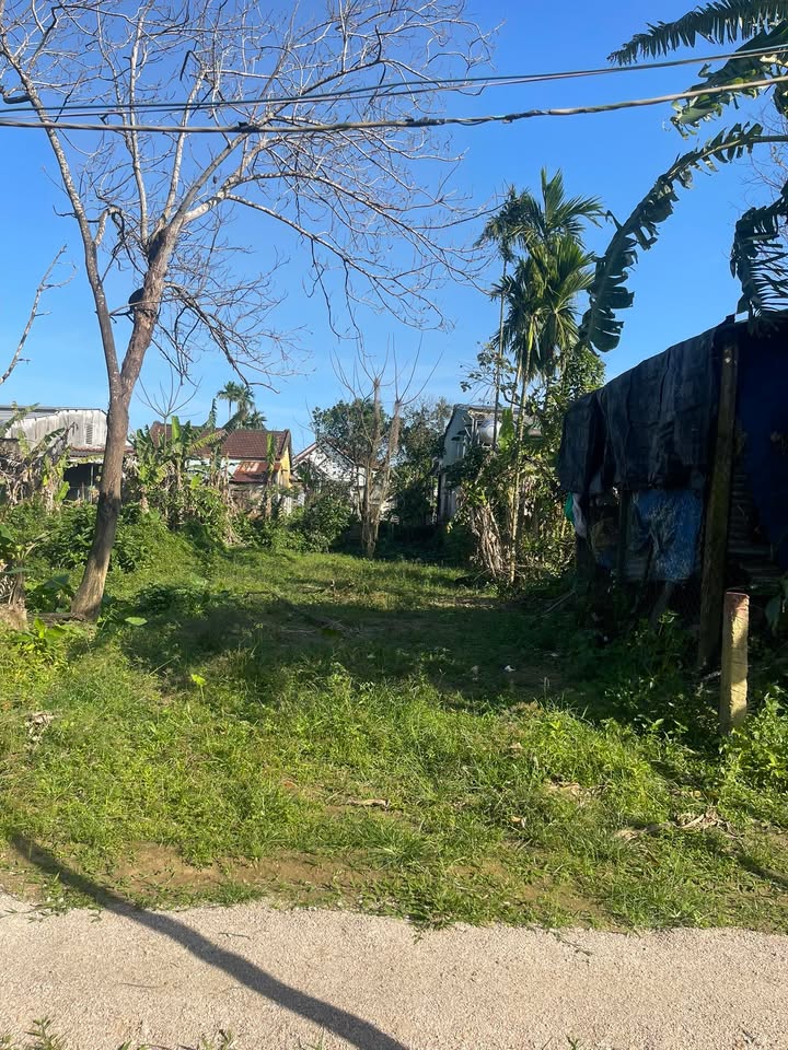 Đất thổ cư Thị trấn Nam Phước 125m² giá chỉ 570 triệu - Cơ hội đầu tư hấp dẫn!