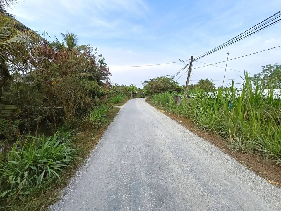 Đất vườn 425m² tại Ấp Bình Hưng, Tiền Giang giá chỉ 680 triệu - Đầu tư sinh lời!