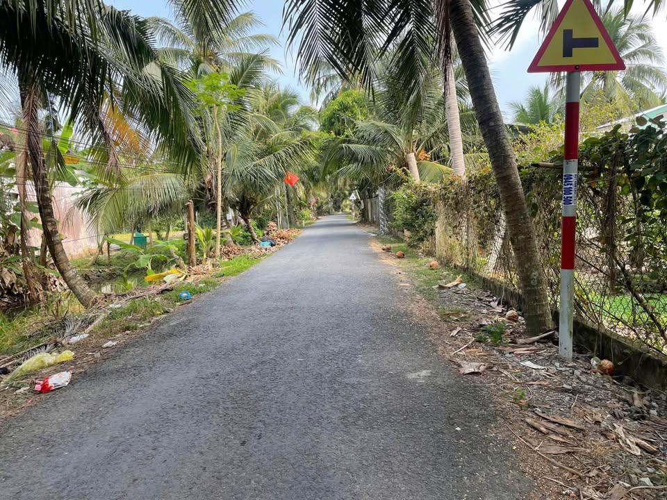 Đất mặt tiền đường nhựa Thạnh Hòa, Châu Thành, Tiền Giang 713m² - Giá tốt không thể bỏ qua!