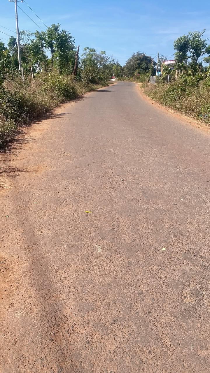 Đất thổ cư 810m² xã Ea Kiết, huyện Cư M'gar giá 7.56 tỷ - Cơ hội đầu tư kinh doanh lý tưởng!