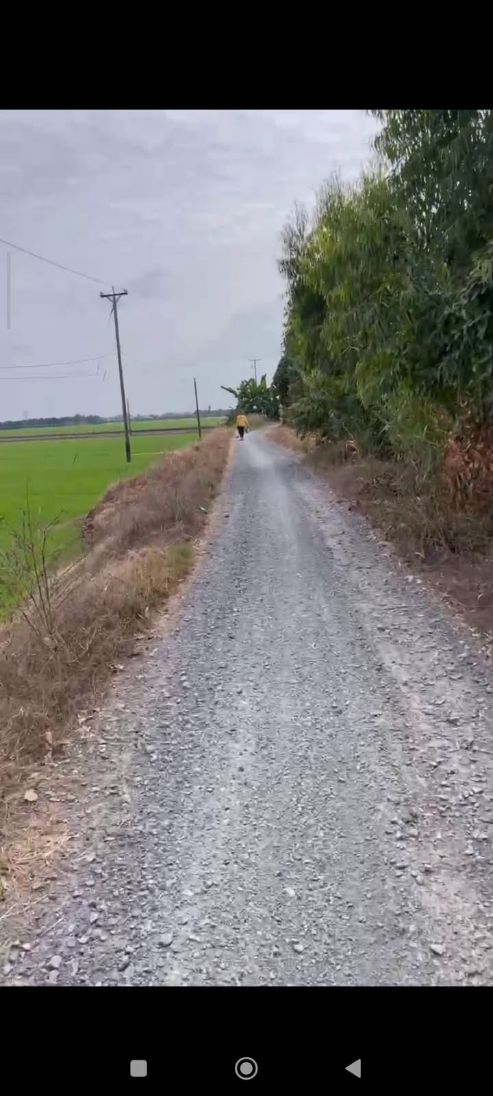 Đất nông nghiệp 7000m² tại Phường Mỹ Trà, Cao Lãnh - Giá chỉ 2.1 tỷ VND