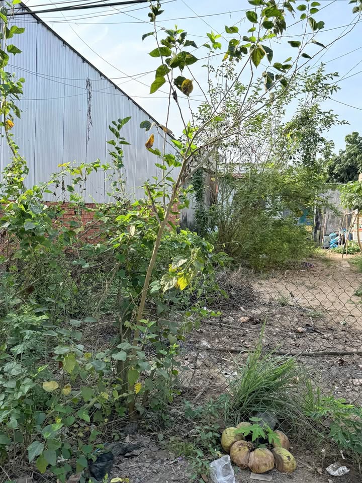 Đất nền đường Nguyễn Hương, Cao Lãnh 158m² giá 1.8 tỷ - Cơ hội đầu tư tuyệt vời!