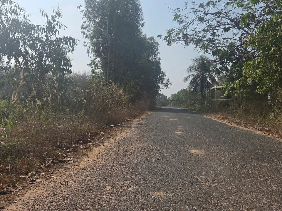 Đất nền 1.000m² mặt tiền đường nhựa Hòa Thành giá chỉ 1 tỷ - cơ hội đầu tư tuyệt vời!