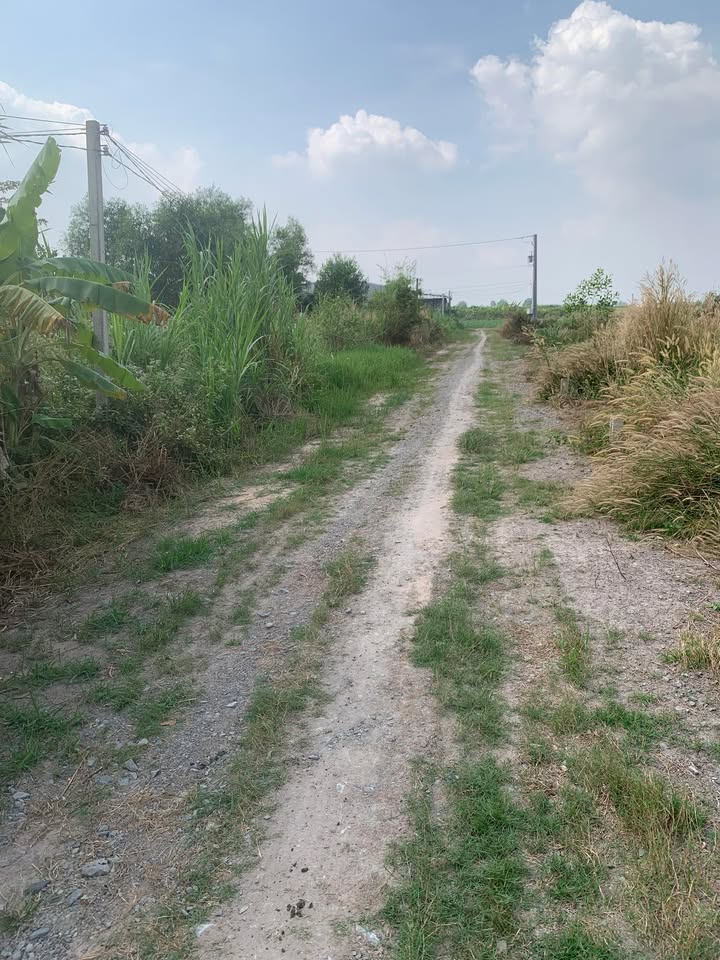 Đất 1 công 6 (1.600m²) tại Long Hoa, Tây Ninh - Giá chỉ 450 triệu!