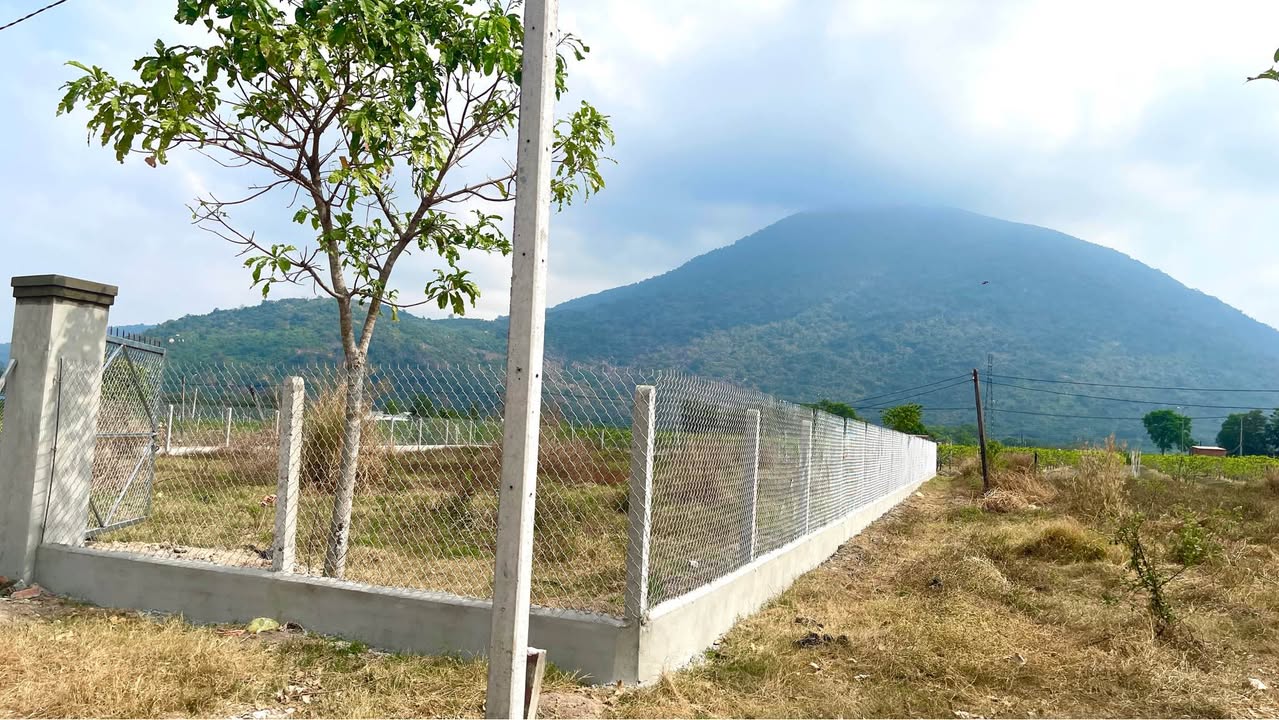 Đất nền Phường Ninh Sơn, TP Tây Ninh 520m² giá chỉ 2.08 tỷ - Cơ hội đầu tư tuyệt vời!