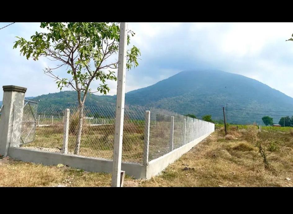 Đất nền Phường Ninh Sơn, TP Tây Ninh 1400m² giá 5.6 tỷ - Cơ hội vàng cho nhà đầu tư!