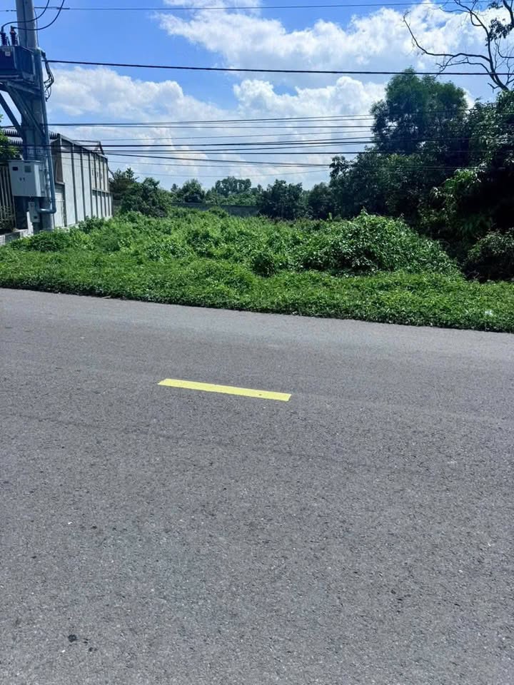 Đất nền mặt tiền TL 14C Long Thuận Bến Cầu 559m² - Giá chỉ 2 tỷ thương lượng!