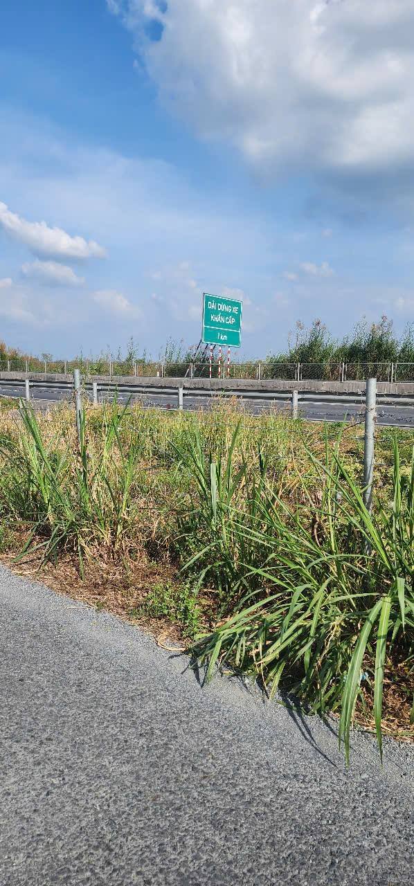 Đất nền 2000m² phường Tân Ngãi giá chỉ 1.6 tỷ - Mặt tiền cao tốc hấp dẫn!