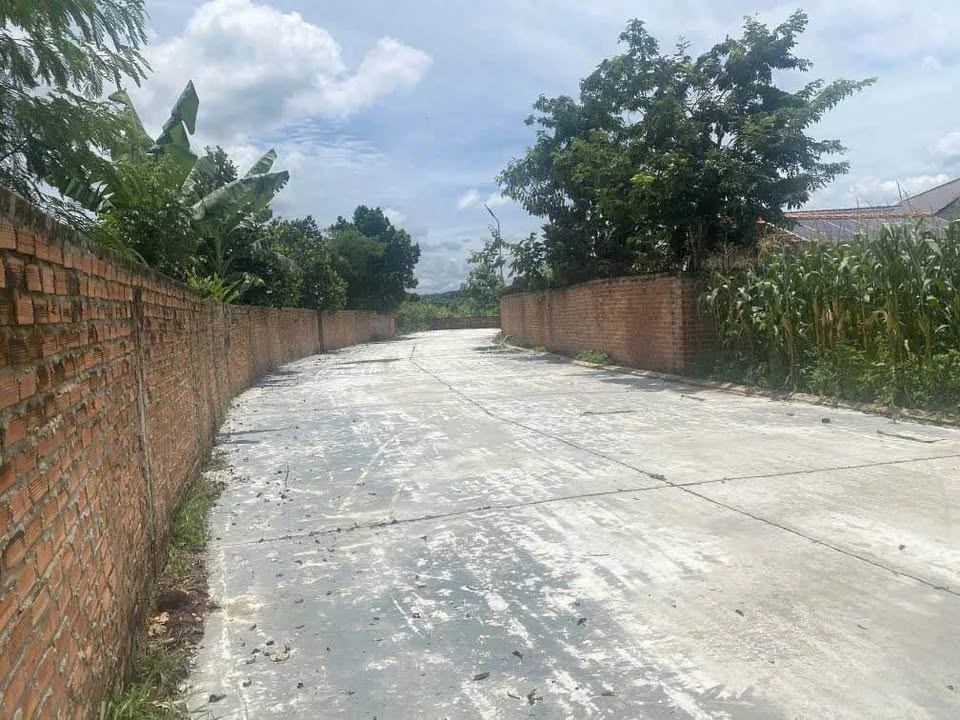 Đất nền xã Ea Kao, Buôn Ma Thuột 175m² giá 1 tỷ – Cơ hội đầu tư vàng!