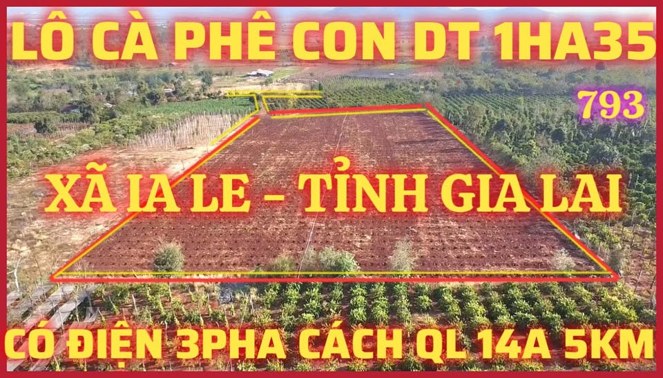 Đất rẫy 1ha35 tại Xã Ia Le, Gia Lai giá 2,2 tỷ - Đầu tư sinh lời hấp dẫn!