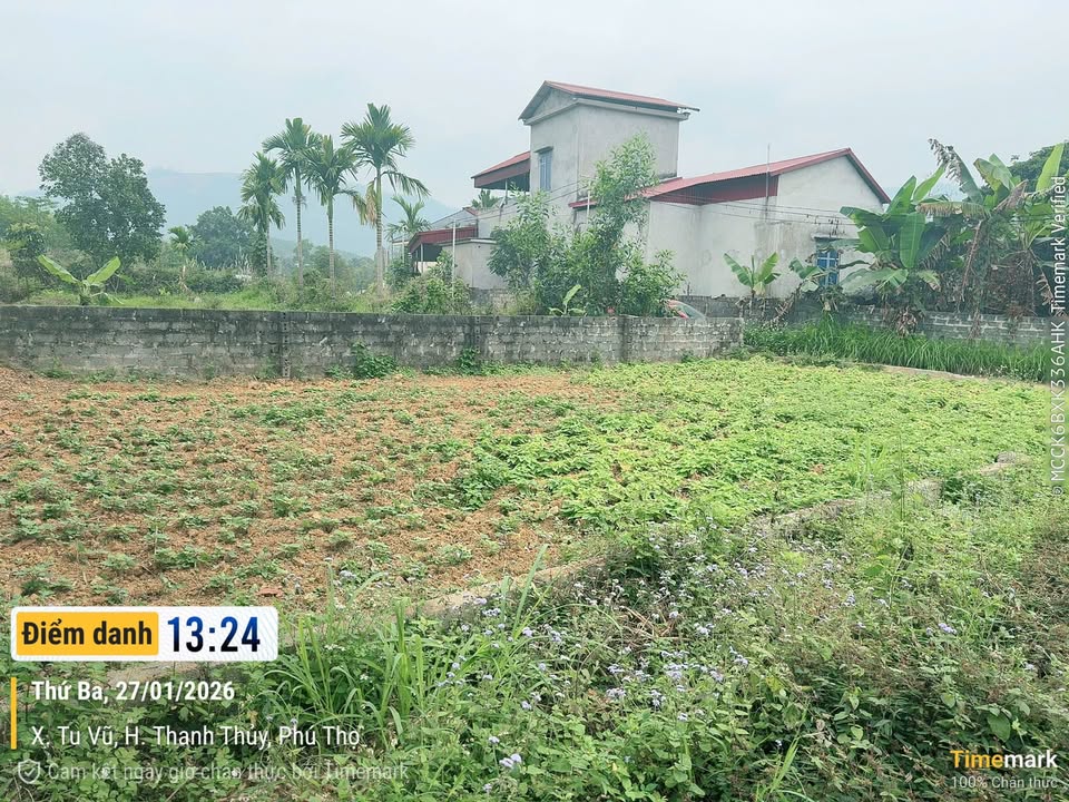 Đất nền xã Tu Vũ, Thanh Thủy 115m² giá chỉ 700 triệu - Đầu tư sinh lời ngay!