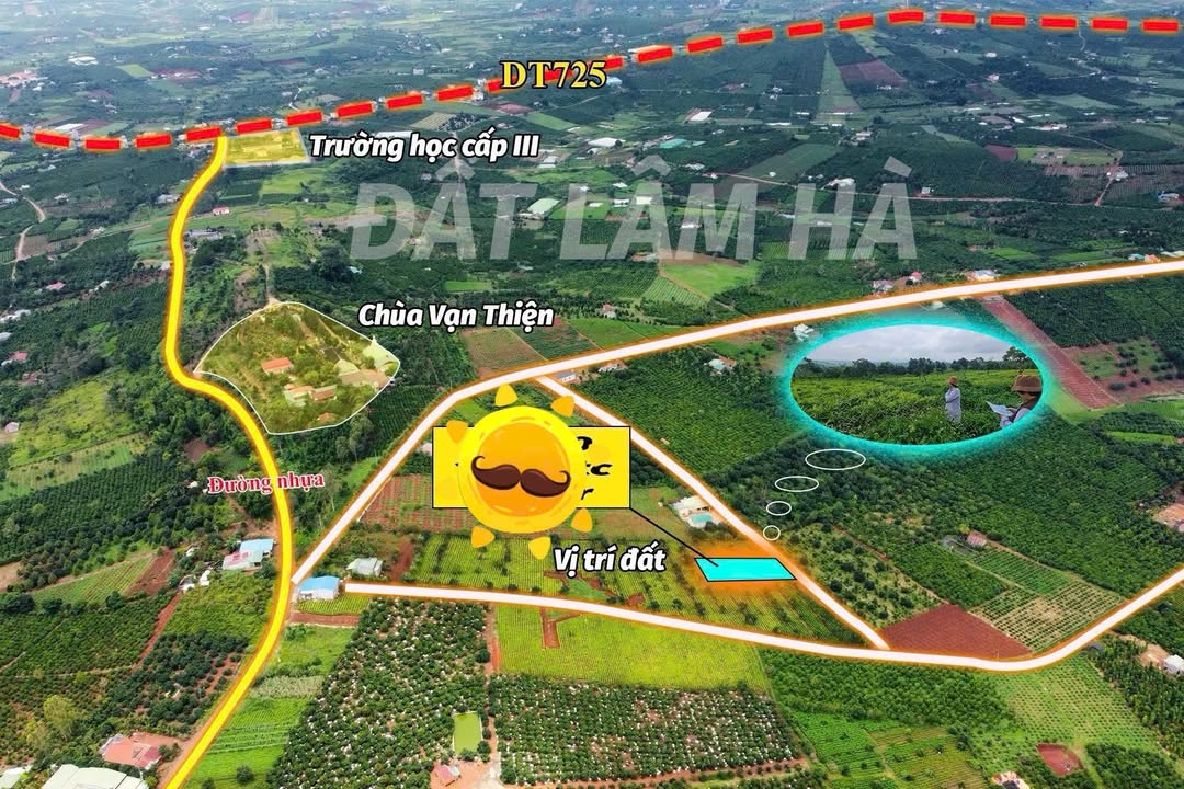 Đất hơn 1.000m² tại Hoài Đức, Lâm Hà chỉ 850 triệu - Cơ hội đầu tư hấp dẫn!