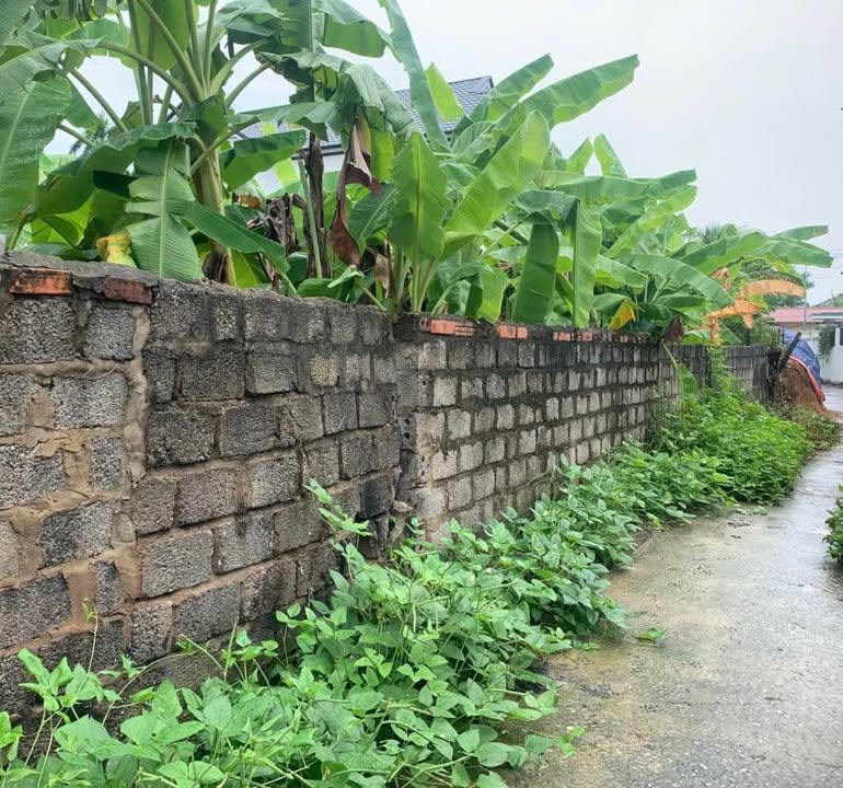 Lô đất đẹp 400m² tại xã Quảng Định - Mặt tiền 13.5m, giá tốt cho đầu tư!