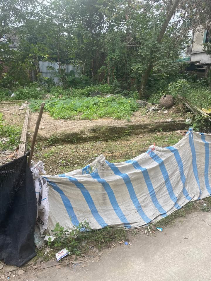 Đất nền Phường Hà Mãn, Thị xã Thuận Thành, Bắc Ninh giá tốt - Đầu tư sinh lời cao!