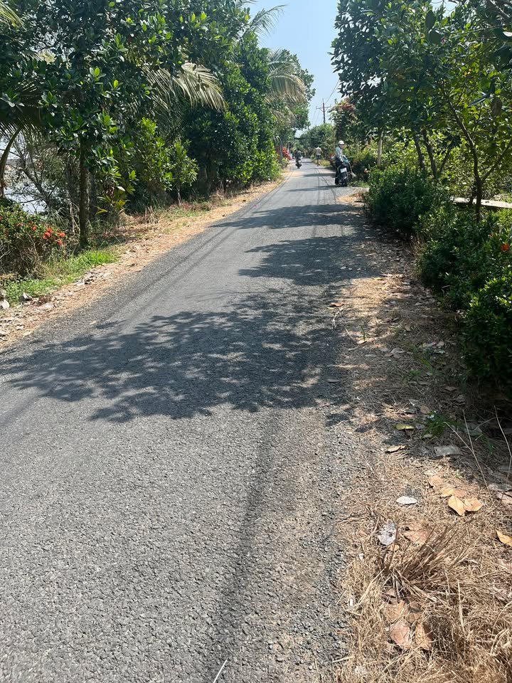 Mặt tiền FrontHouse tại đường TL875, xã Mỹ Phong, 455m² - Cơ hội đầu tư tuyệt vời!