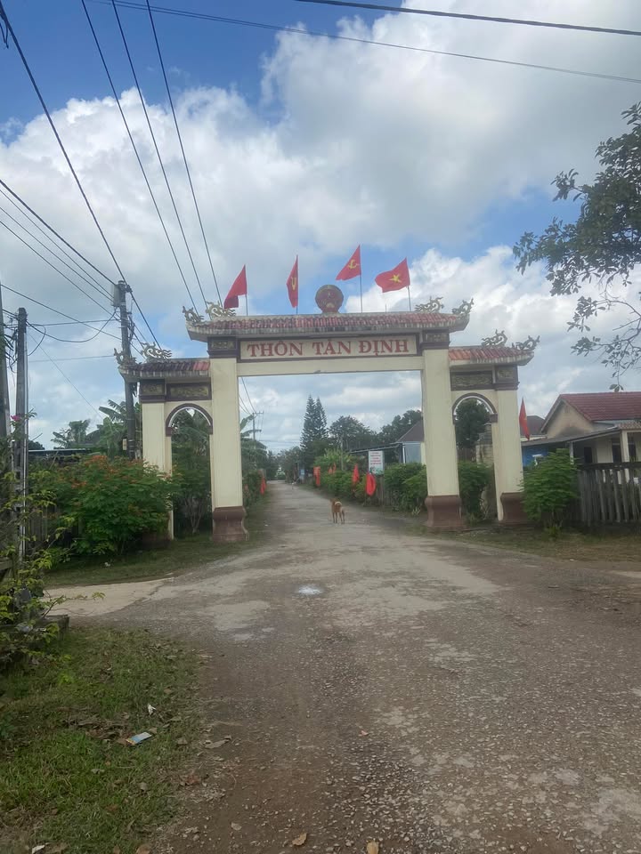 Đất nền xã Cam Nghĩa, huyện Cam Lộ, 162m² giá chỉ 600 triệu - Nhanh tay sở hữu!