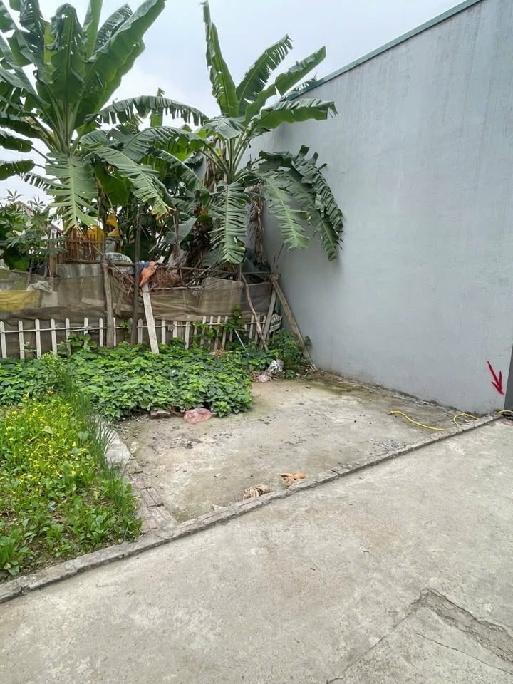 Đất nền Tiền Phong Mê Linh 44m² giá thỏa thuận - Sổ đỏ chính chủ