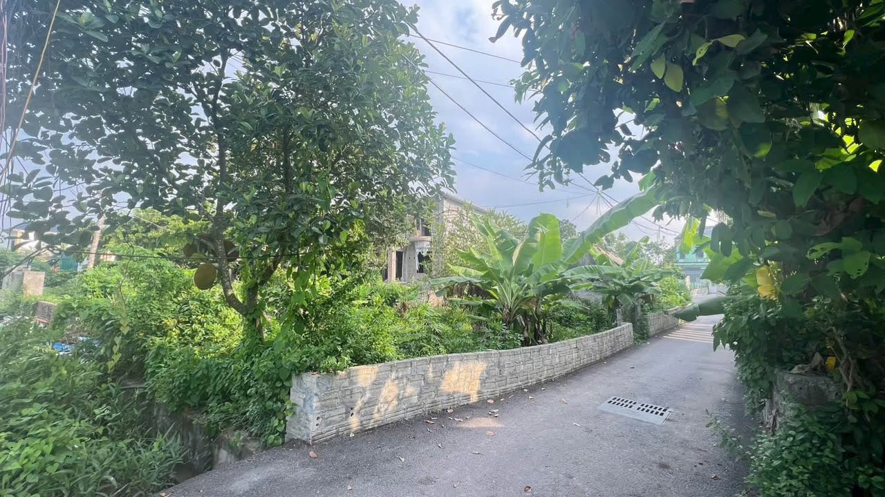 Đất thổ cư thôn Cát, xã Đinh Xá 352m² giá 7 tỷ - Lô góc, vị trí đắc địa!