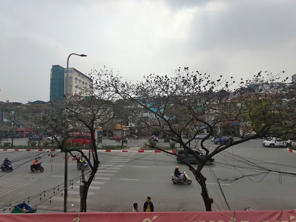 Mặt phố Văn Cao, Ba Đình 50m² giá 39.5 tỷ - Kinh doanh sầm uất ngay trung tâm!